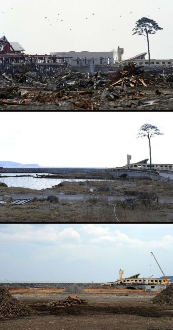 東日本大震災津波からの復興1